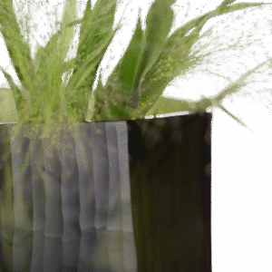 OKKA MEDIUM - Image 2