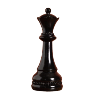 DAME NOIRE BRILLANTE