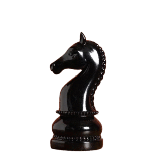 CAVALIER NOIR BRILLANT