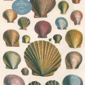 PUZZLE- SHELLS JOHN DERIAN 1000PCS