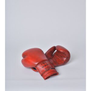 GANTS DE BOXE VINTAGE -RED 2024