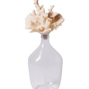 BOUTEILLE CORAIL BLANC