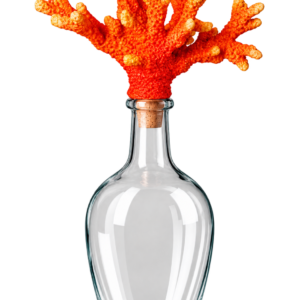 BOUTEILLE CORAIL ORANGE