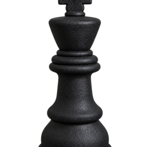 ROI D'ECHECS